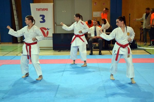 soltec-brezice-turnir-2026-05A05CFAB2-0EDD-357B-11CE-725453417301.jpg